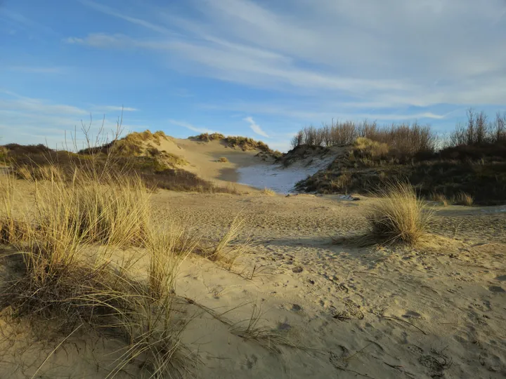 Oostnieuwkerke duinen wandeling in de koude (België)